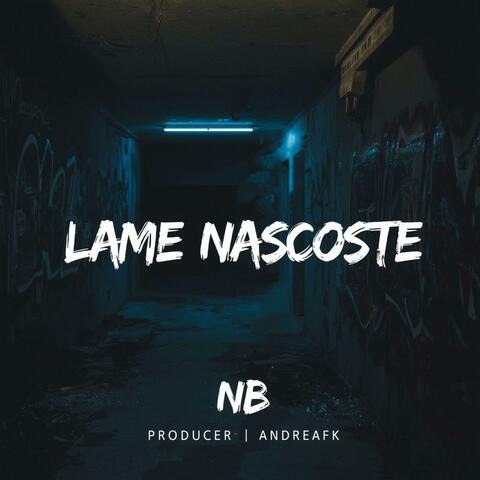 LAME NASCOSTE