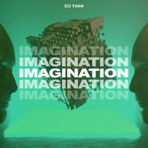 Imagination
