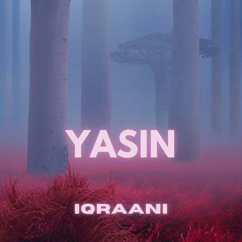 Yasin