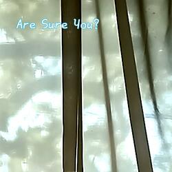 Are Sure You?