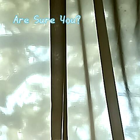 Are Sure You?
