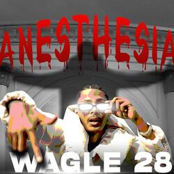 WAGLE 28
