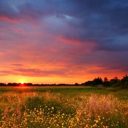 Deep Ambient Soundscape With Gentle Tones And Nature Atmosphere For Stress Relief And Peaceful Sleep