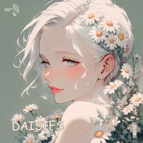 daisies