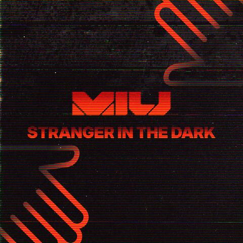 Stranger in the Dark