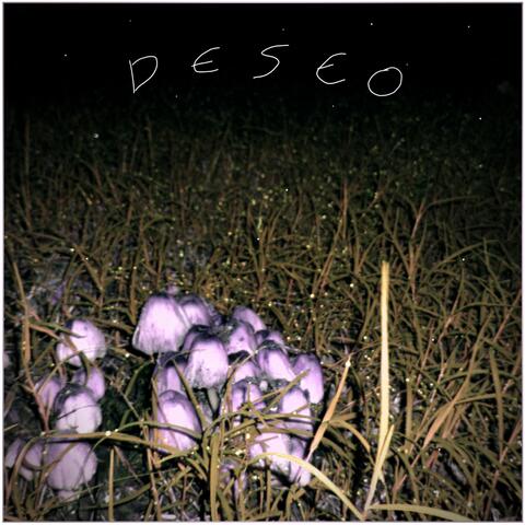 D e S e o
