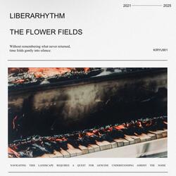 The Flower Fields