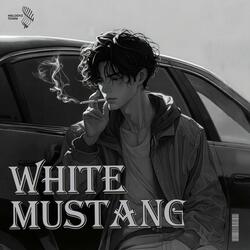 white mustang