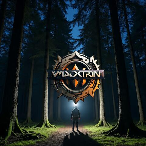 Perdido En El Bosque De Noche