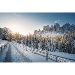 Warm lights in cold nights