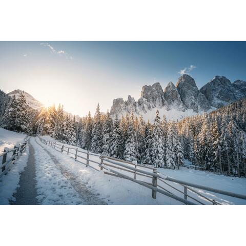 Warm lights in cold nights