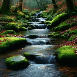 Echoes of Autumn Waters