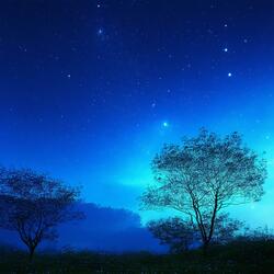 Whispers of the West Wind