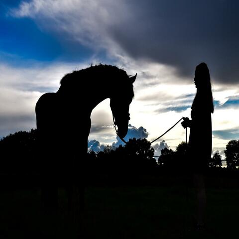 Mädchen aus dem Norden