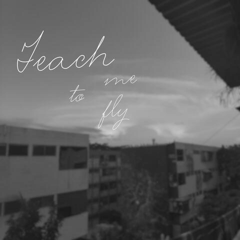 teach me to fly