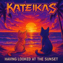 Having looked at the sunset