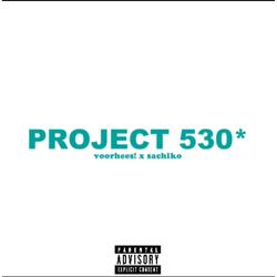 PROJECT 530