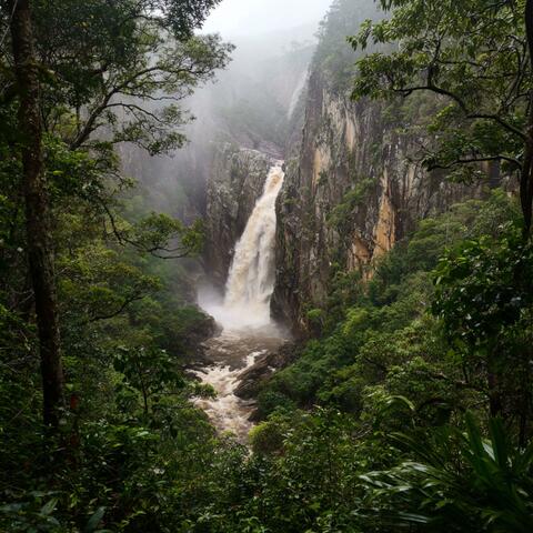 Waterfall raining down in the middle of the jungle