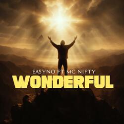 Wonderful (feat. Mc Nifty)