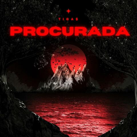 PROCURADA