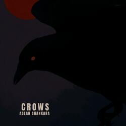 crows