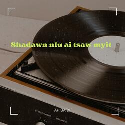 Shadawn Nlu Ai Tsaw Myit