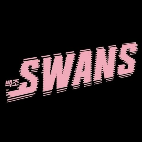 Swans