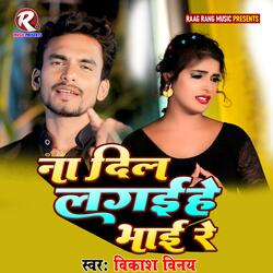 Na Dil Lagaihe Bhai Re