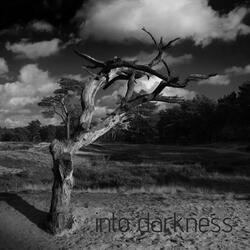 into darkness