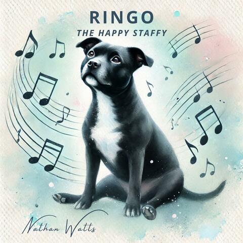 Ringo the Happy Staffy