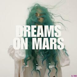 Dreams on Mars (Bozzwell Remix)