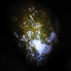 La vida en el jardín