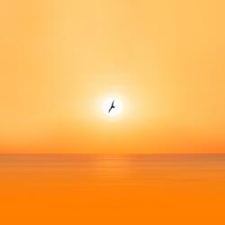 Tranquil Ambient Soundscape With Soft Nature Sounds For Relaxation And Mindfulness