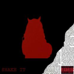 SHAKE IT