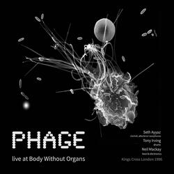 Body Without Organs I