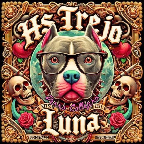 Perro Callejero