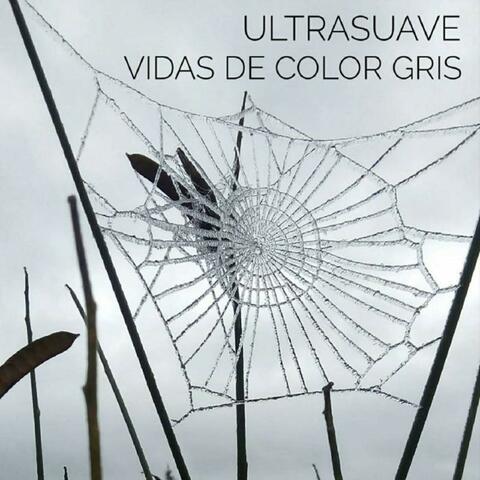 Vidas de color gris