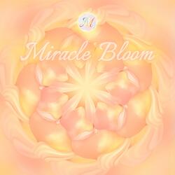 The Manifestation of Sacred Lotus