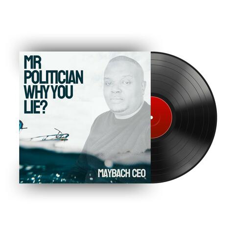 Mr Politician Why You Lie