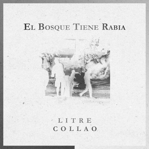 El bosque tiene rabia
