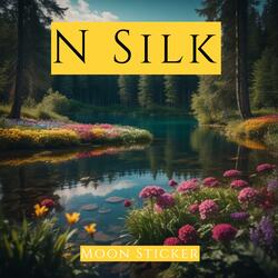 N Silk