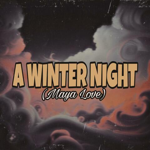A Winter Night