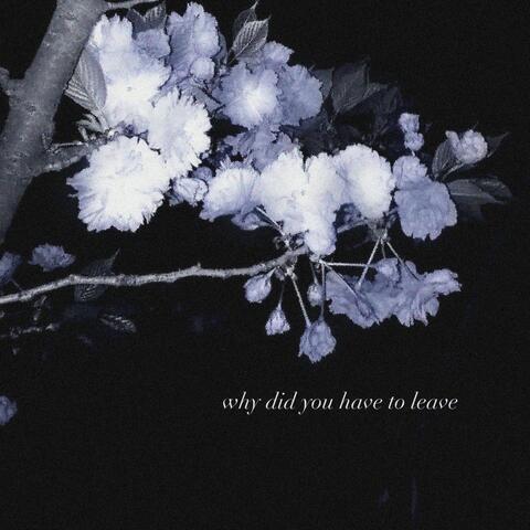 why did you have to leave