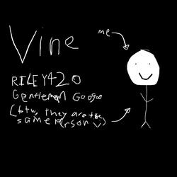 Vine