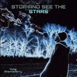 Stop And See The Stars