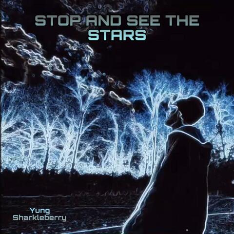 Stop And See The Stars