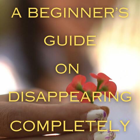 A Beginner's Guide on Dissapearing Completely
