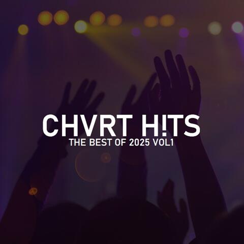 THE BEST CHART HITS OF 2025 VOL1