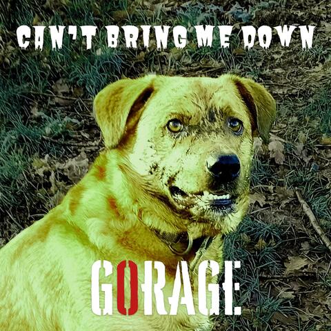 Can't bring me down