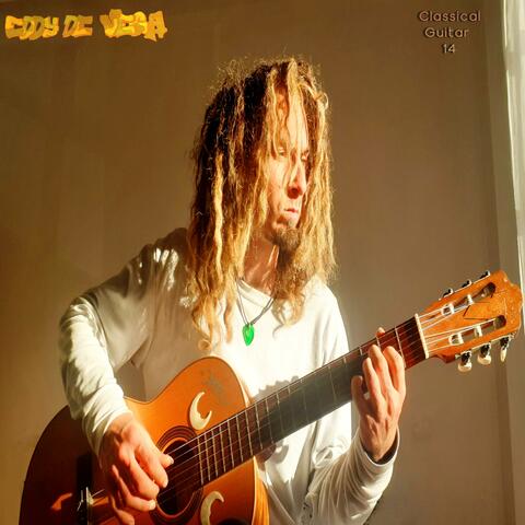 Classical Guitar 14